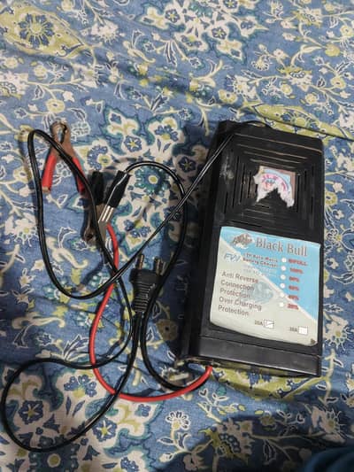 20A 12v auto matic battery
