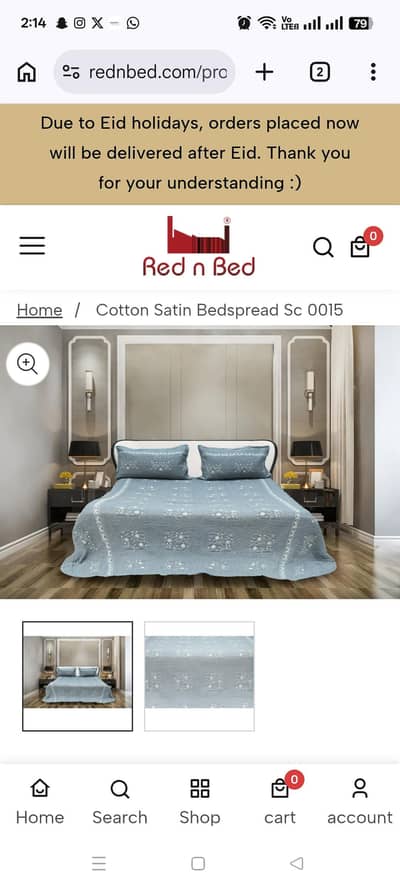 fancy bedspread for sale