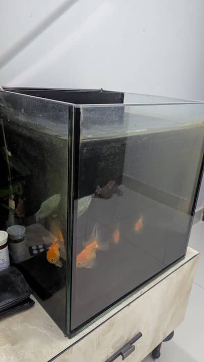 fish aquarium with 2 filters