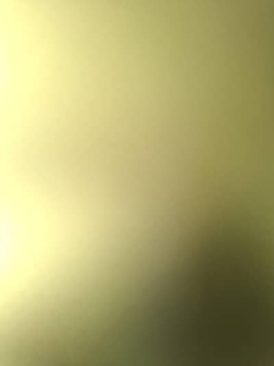 brand new colour olive green