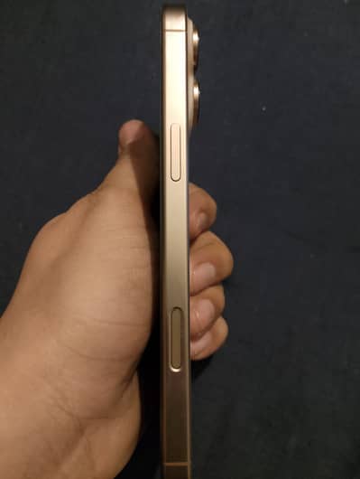 Iphone 16 pro max dual sim pta approved officially