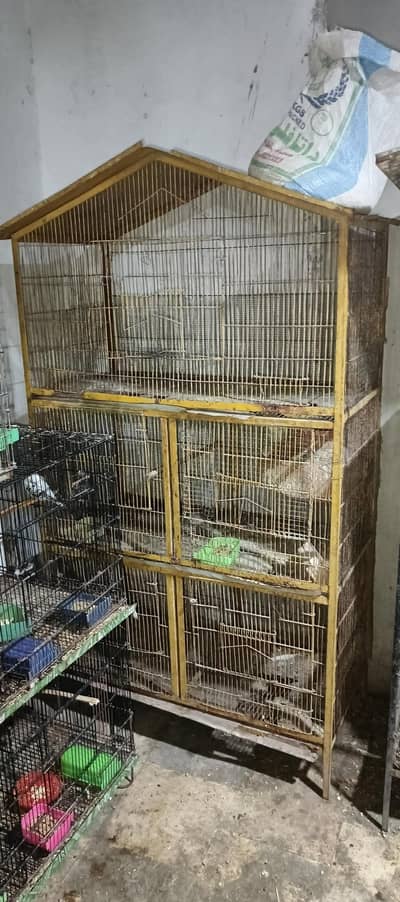 2 cages available