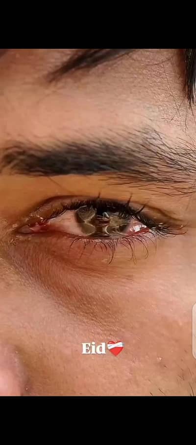 job ke zarorat he jo kam be ho kar sakta ho matrik pas hon age 21