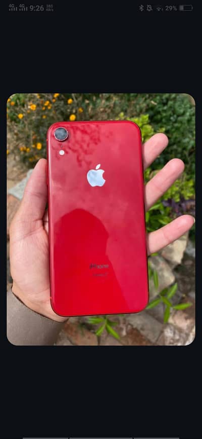 IPHONE XR