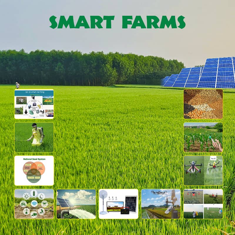 ھمارے پاس ہر فصل کی بیماری کا علاج ھے 4