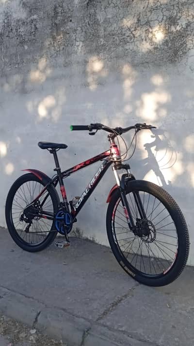 Brand new condition original imported Royal Rider Mountain bicycle 26"