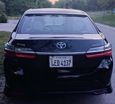 Toyota Corolla GLi brand new total janion