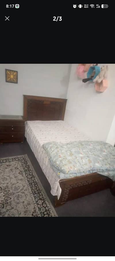 bed space as a guest available near hostel pwd