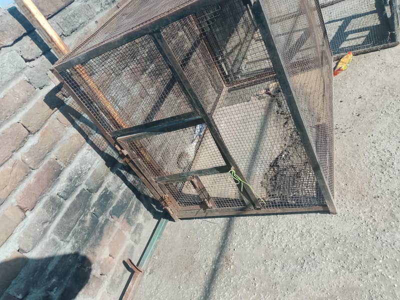 cages 1