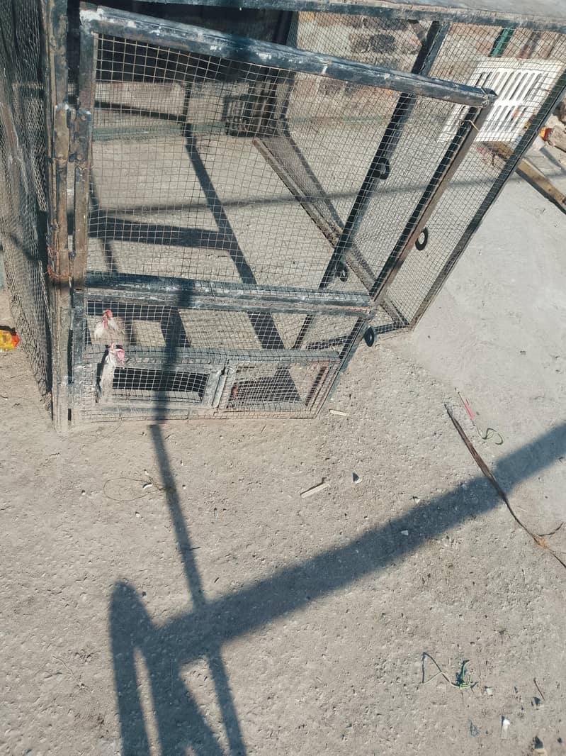 cages 4