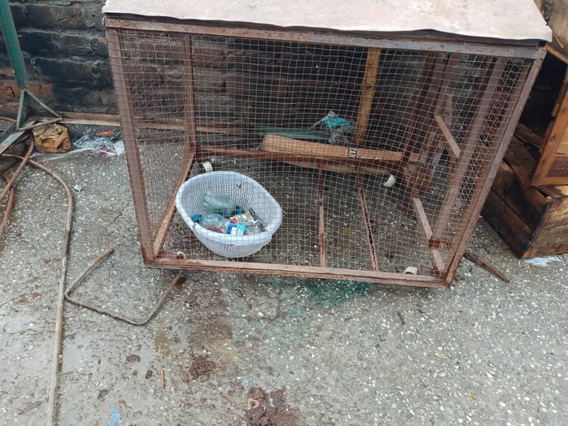 cages 8