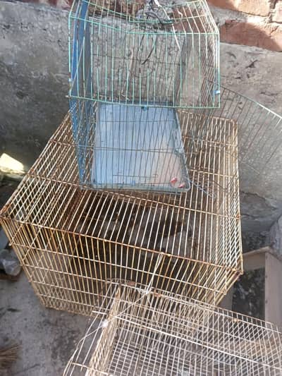 small medium large size cages for sale