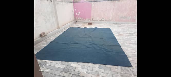 Used  Carpet