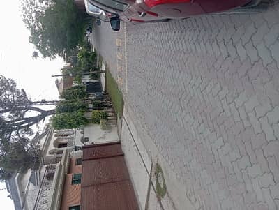 1 Kanal Single Story Hot Location Beautiful Society