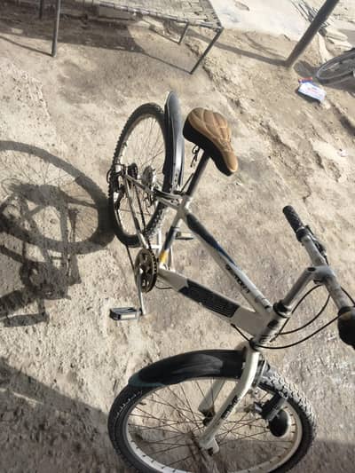 urgent sell only seares buyer contact