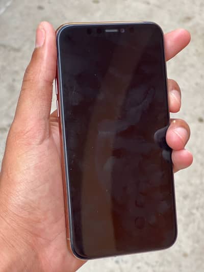 iPhone 11 Pro dual pta