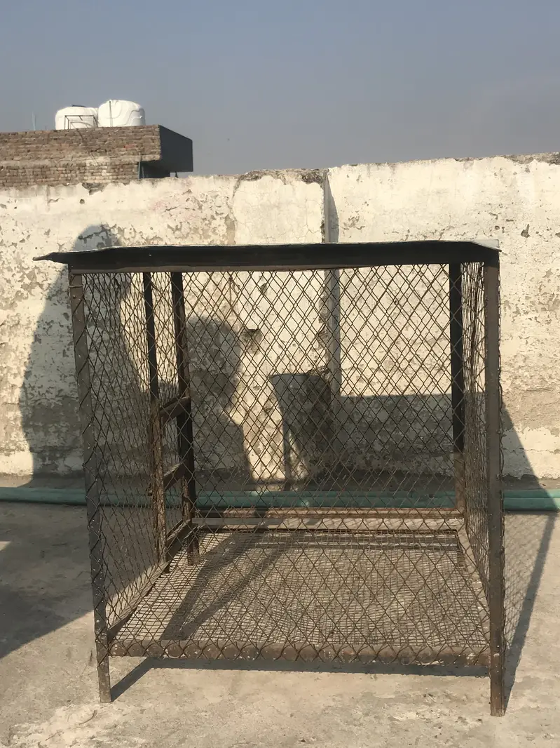 Iron Cage 2.4 by 2.4 — photo 4