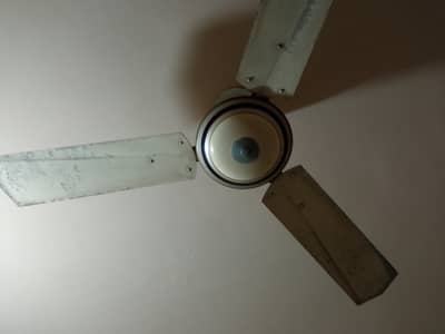 fan for sell
