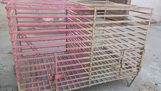 Animal Cage
