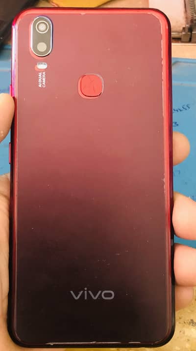 Vivio Y 11 pta approved