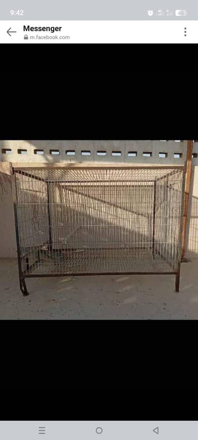 parrots cage urgent sale Gary, Macaw, Pahari,albino, cocktai  parrot
