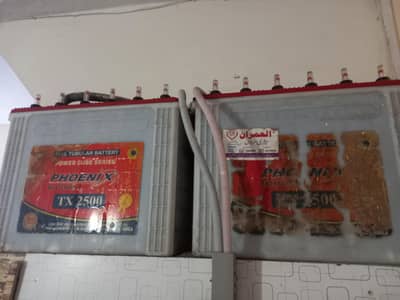 Phoenix tx2500 tubular