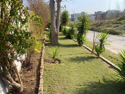 D- 1 3 3 East Service Double Road Front Green Aria Sector D 12 2