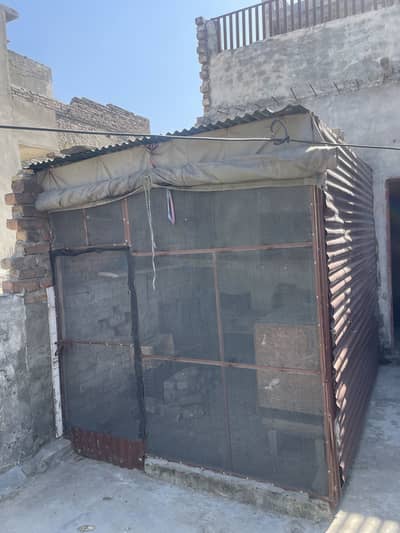 Pigion cage for sale