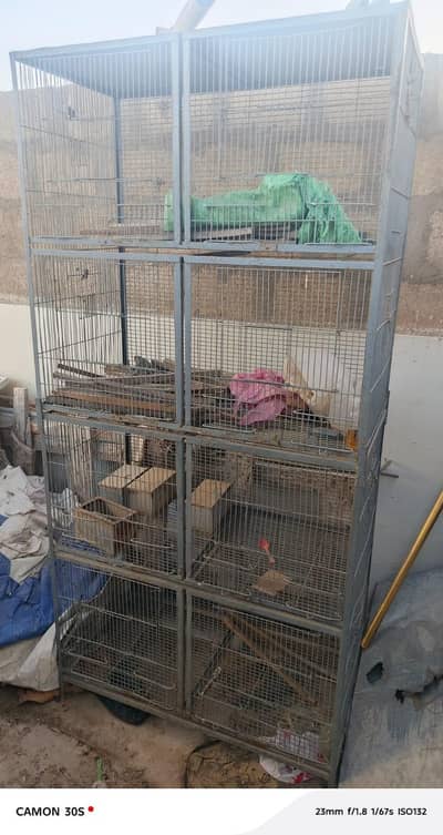 cages available pingra 8 khanay