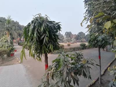 Book A Residential Plot Of 2 Marla In Marghzar Officers Colony Marghzar Officers Colony