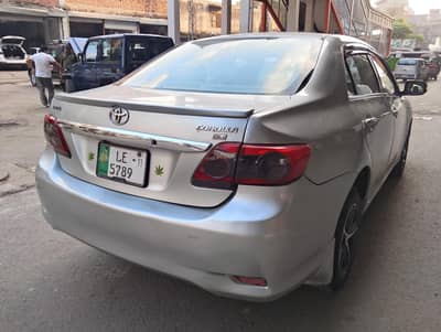 Carola GLI almost shawrd