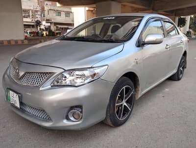 Carola GLI almost shawrd