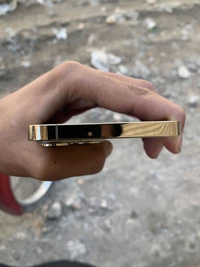 iphone 13 pro max dual pta approved