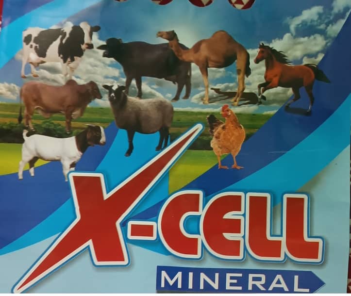 X-CELL 0