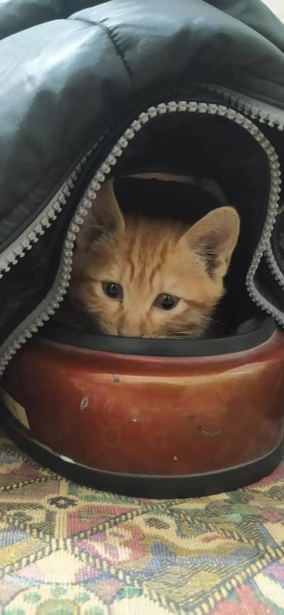 Sharing Ride Available