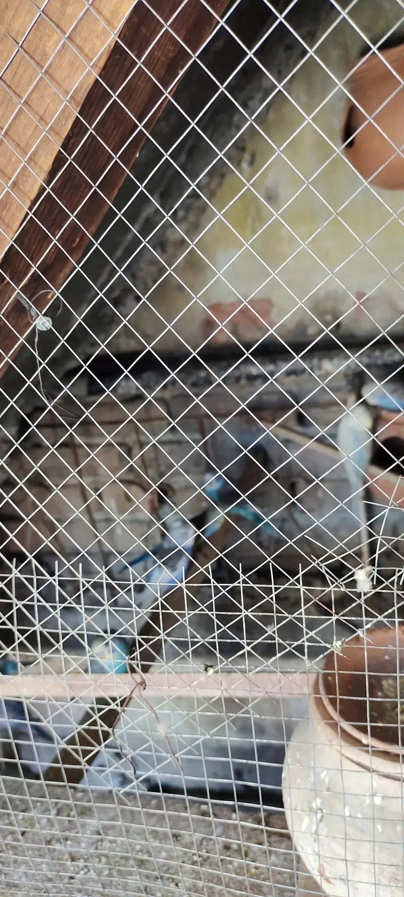 Australia — photo 3