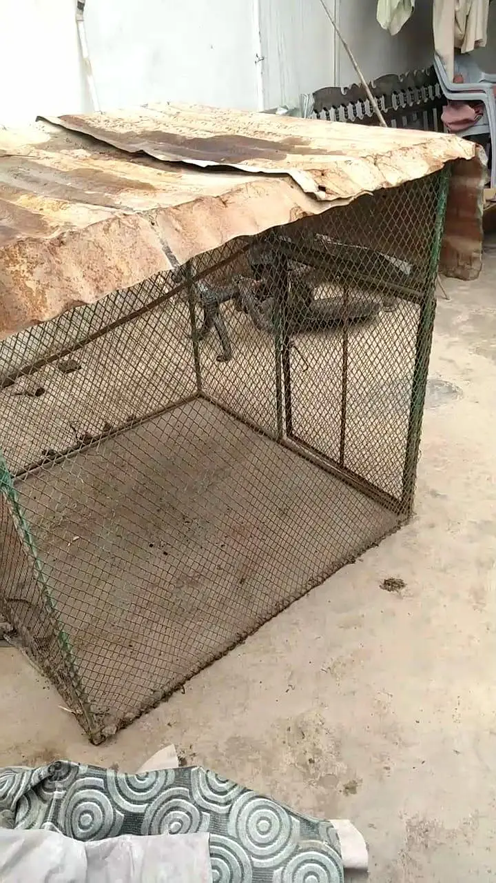 cage for sale. — photo 7