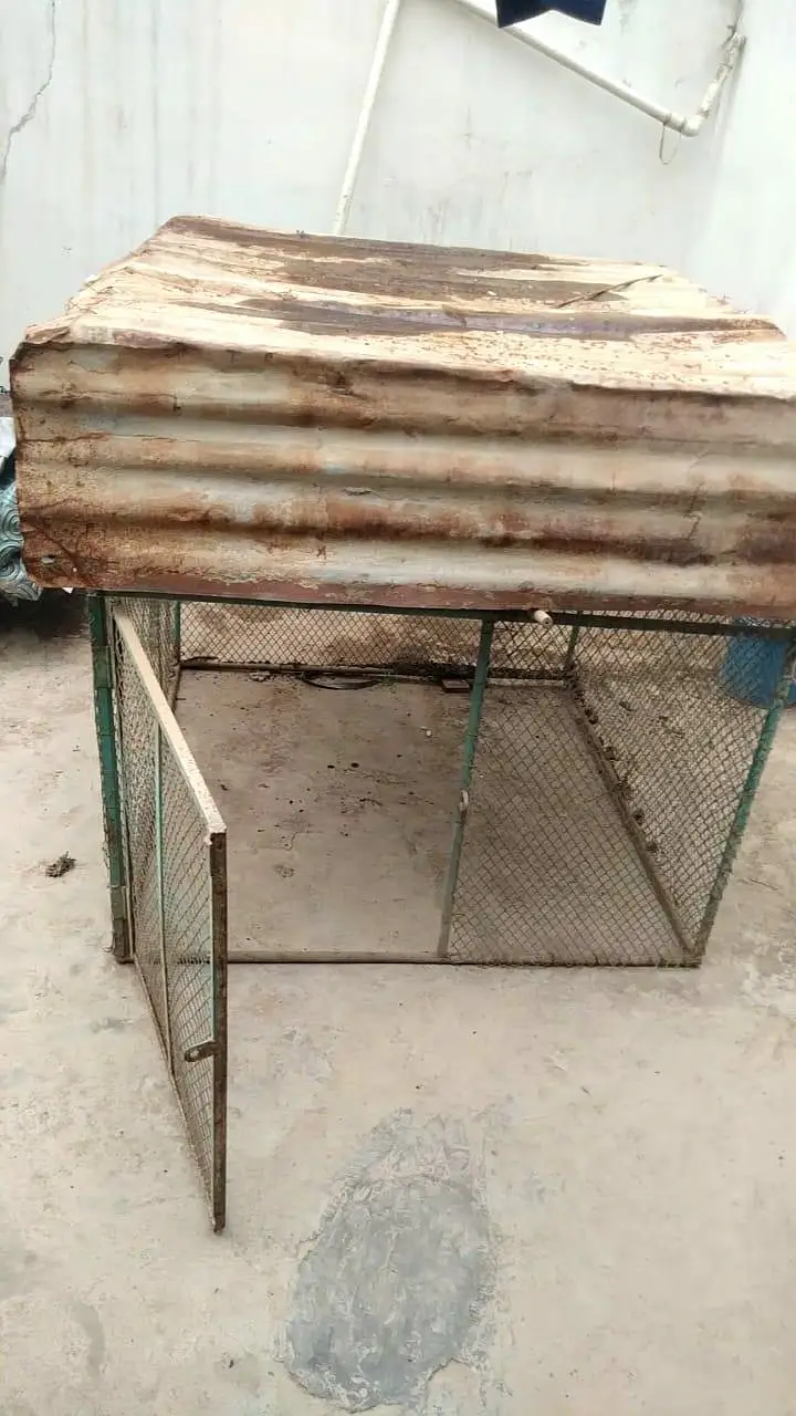 cage for sale.