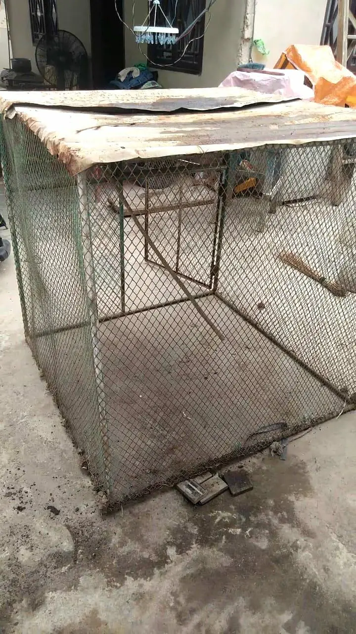 cage for sale. — photo 4