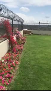 1100 Kanal Agricultural Land In Balkasar For Sale