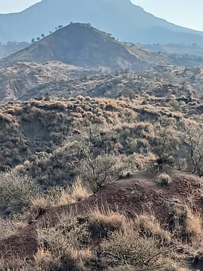 1100 Kanal Land For Sale In Chakwal