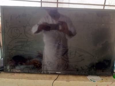 SADA ha net wali nae