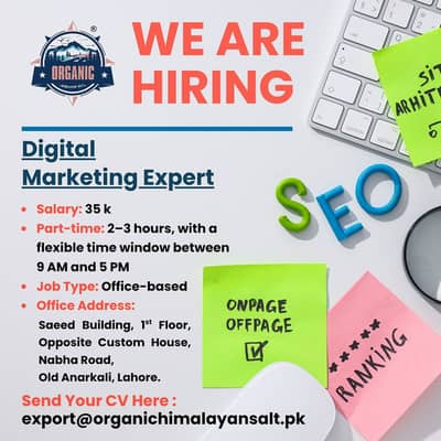 SEO | Digital Marketing Expert