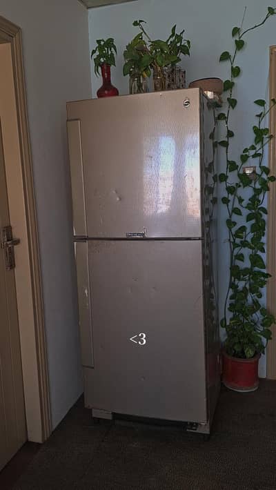 Fridge