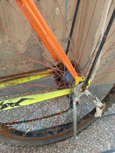 Wheeler cycle condition 10/8 all ok