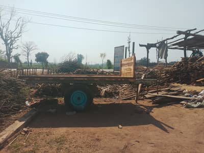 traly 6*10  03098011694