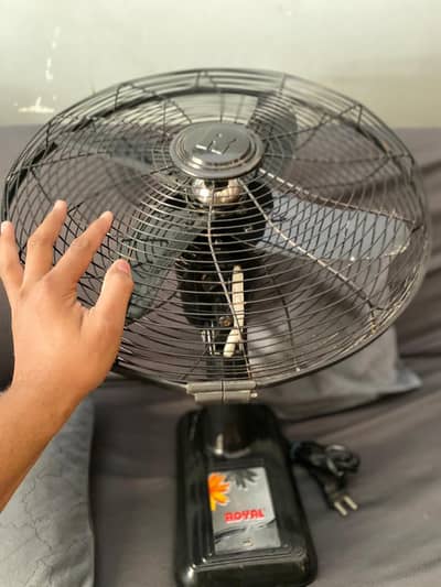 royal wall fan like brand new condition