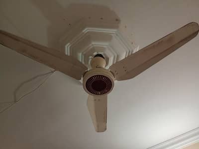 royal fan ac dc