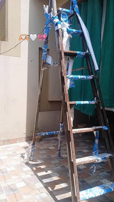 Heavy Duty Iron Ladder