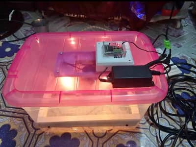 Custom Egg Incubator - Auto & Manual - 3 Days Delivery